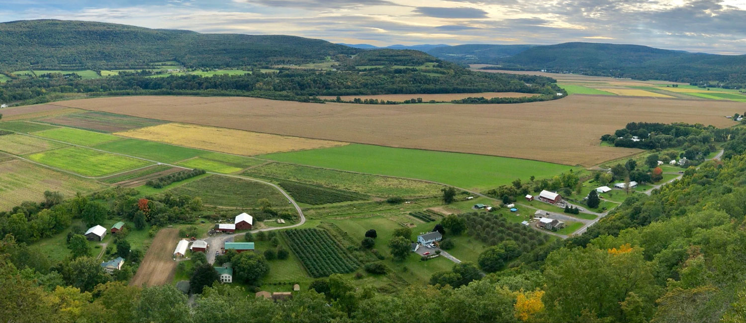 Board Declares May 17, 2024 “St. Mark’s Day” in Middleburgh