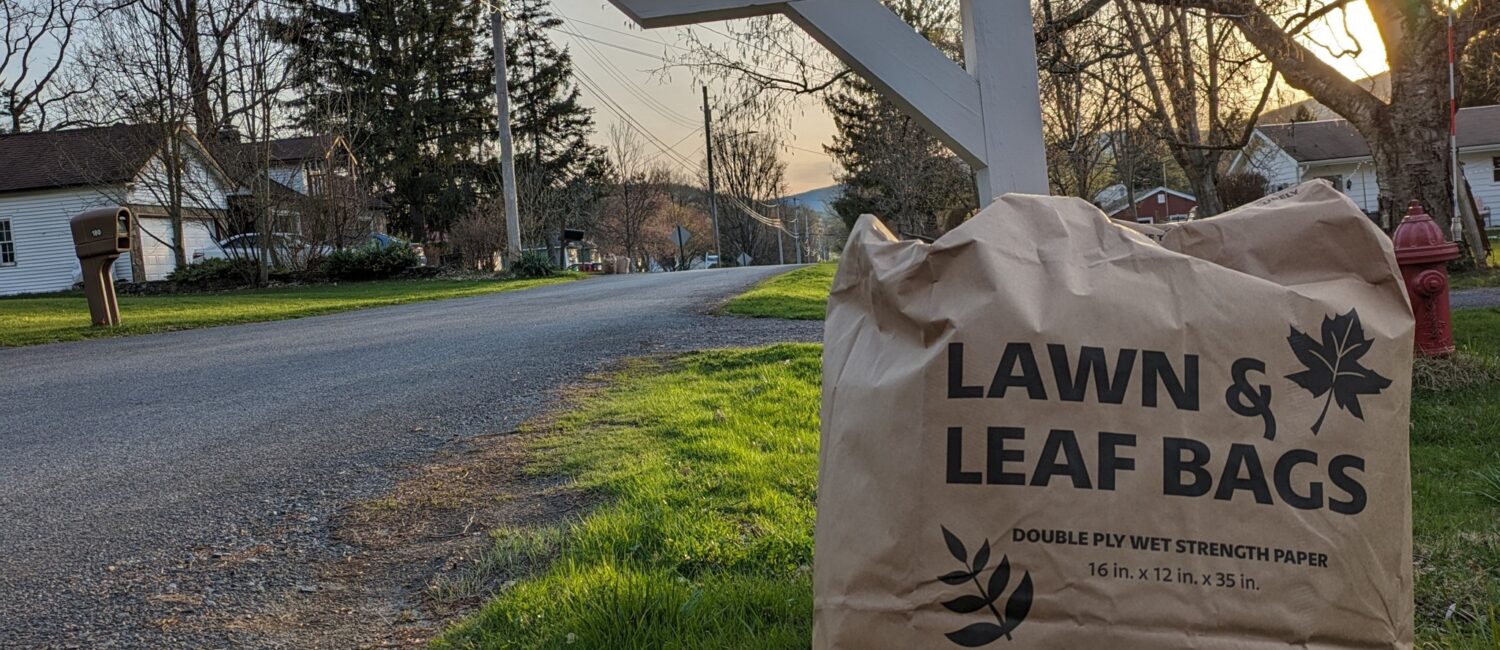Leaves in a Bag