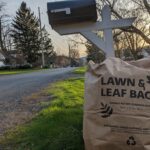 Leaves in a Bag
