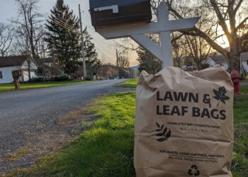 Leaves in a Bag