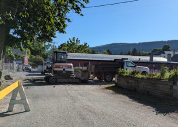 Chestnut Lane DPW